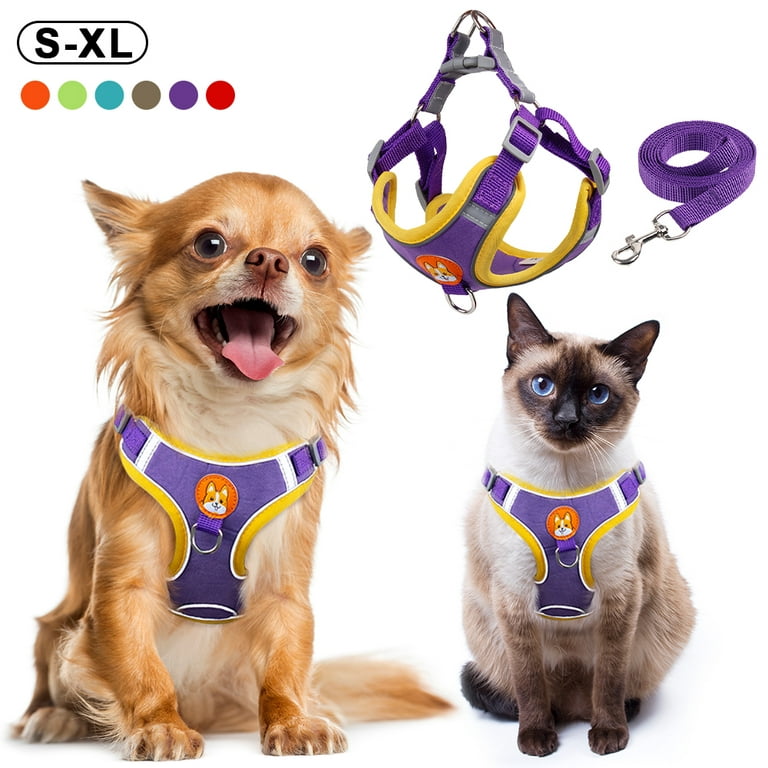 Dogs and cats harness leash